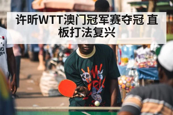 许昕WTT澳门冠军赛夺冠 直板打法复兴