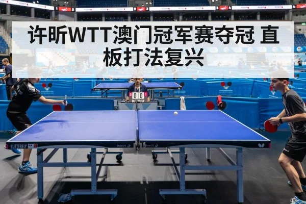table tennis match